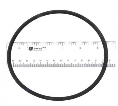 H/w chlorinator 0-ring packaged - 0-231v-0