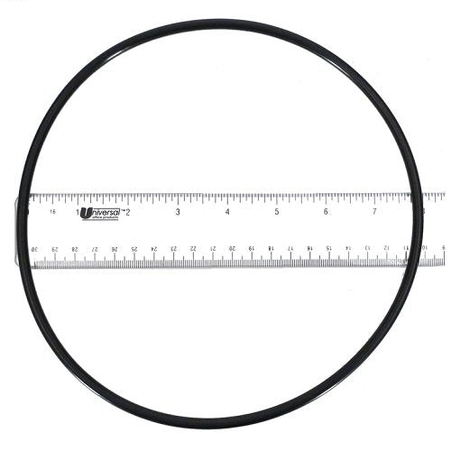 Pentair seal plate o-ring - 355619