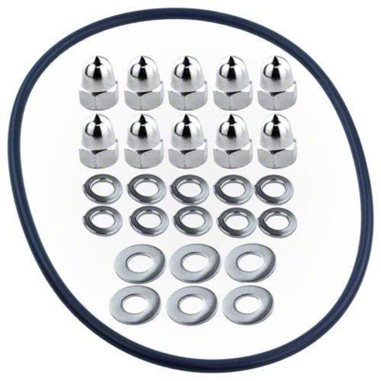 Pentair kit hardware & o rings - 400030z