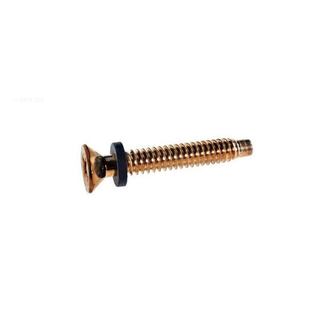Pentair pilot screw w/ washer - brass - 79104800