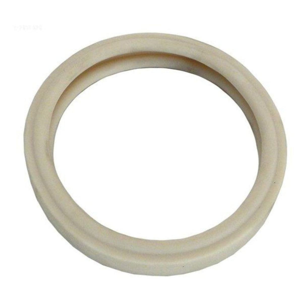 Pentair spa light lens gasket 4' - 79108500