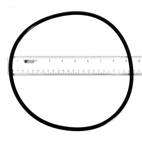 Pentair body o-ring clean&clear - 873004