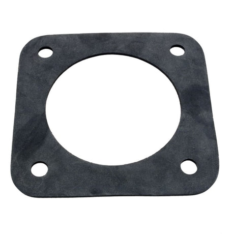 Pentair dura glass rubber gasket - c20-123