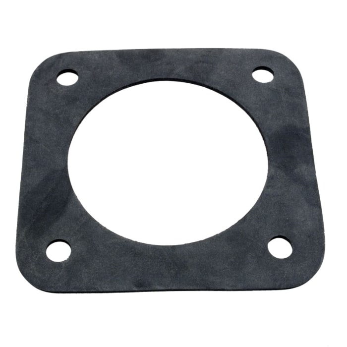 Pentair dura glass rubber gasket - c20-123