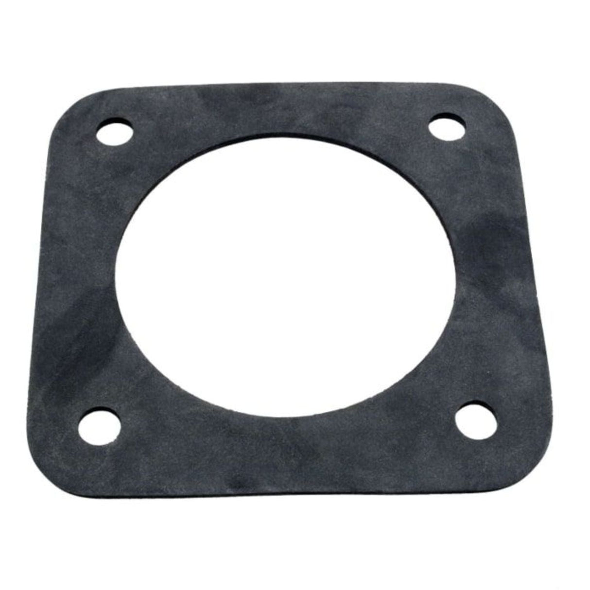 Pentair dura glass rubber gasket - c20-123