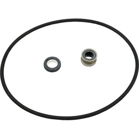 Pentair s/r dura glass ii seal plate kit - c203-194p