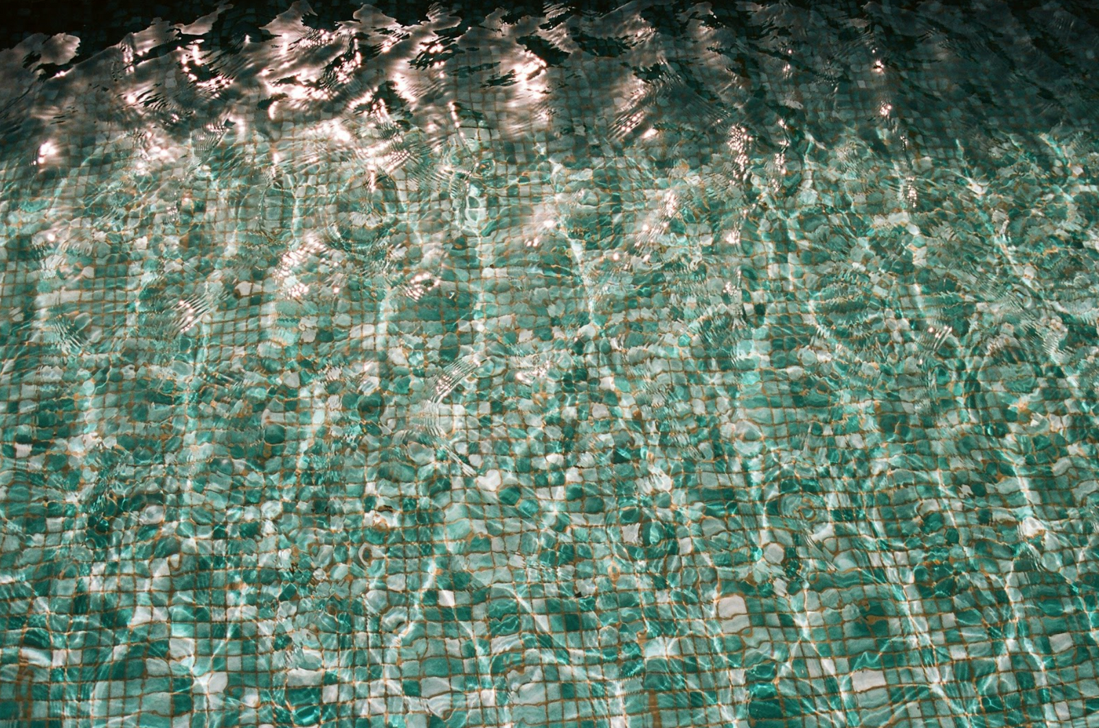 How To Keep Bugs Away From Pool?