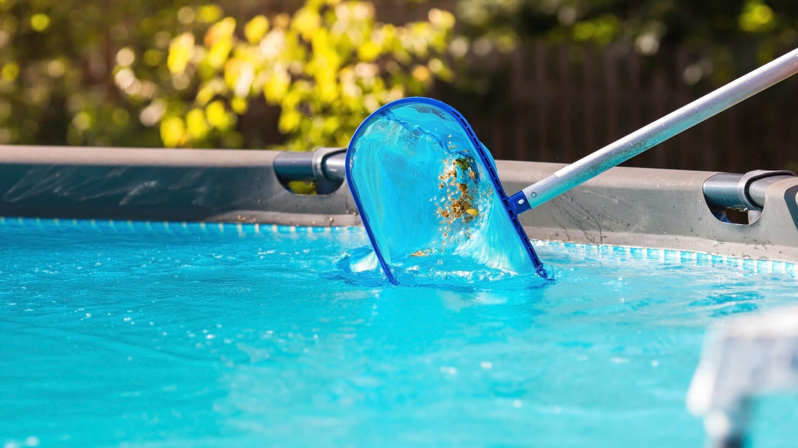 Pool Maintenance questions answered !