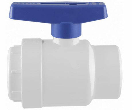 PRAHER BLUE BALL VALVE 2.5"