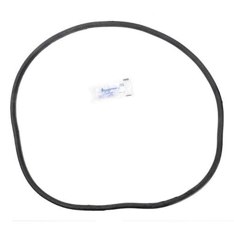 Pentair s/r tank o-ring for plm filter - 27001-0061s