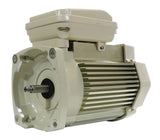 Pentair motor rplment 0.75 hp - almond - 354803s
