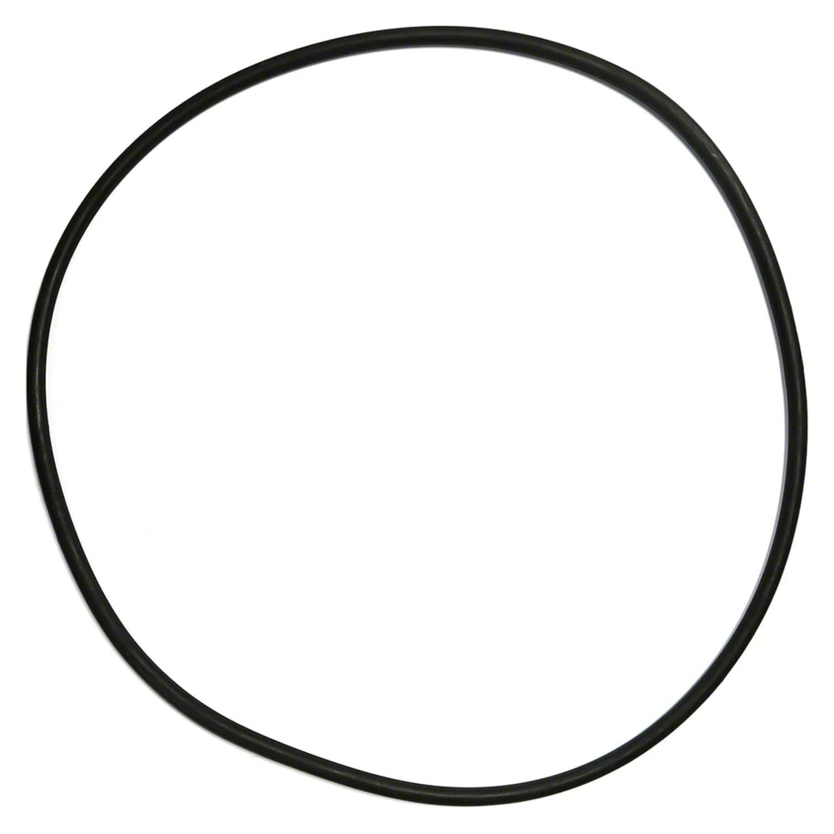 Pentair seal plate o-ring - 355619