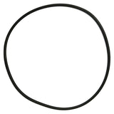 Pentair seal plate o-ring - 355619