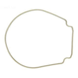 Pentair almond gasket for seal plate - 357102