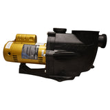 Aquamax Pool Pump 1.5 HP w/ Union - P2415A