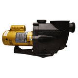 Aquamax Pool Pump 1.5 HP w/ Union - P2415A