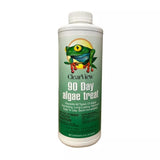 Clearview Copper Strike Swimming Pool Algaecide 32oz 90 Day Algae Treat